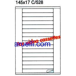 Etichette Foglio A4 145x17...