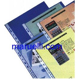 Busta Trasp 25x35 Forat...