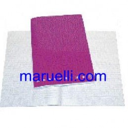 Registro 21 Ff 80gr 2...