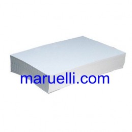 Foglio Disegno 48x66 110gr...