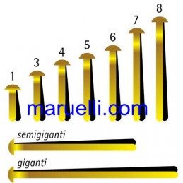 Ferma Campioni  N 3