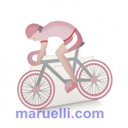 Bicicl. 60x35x85 Festa Ros...