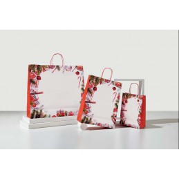 Borse Carta 25pz 22x29...