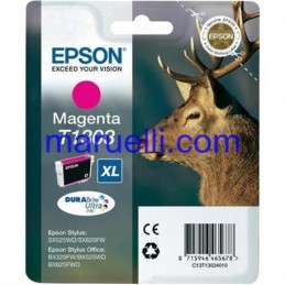 Epson Mag Chiaro Intellidge...