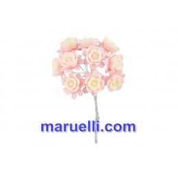 Mazz.10 Rosell.bicolor Rosa...