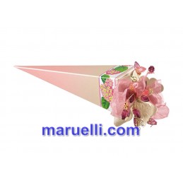 Cono Quad.155 Ortensie R...