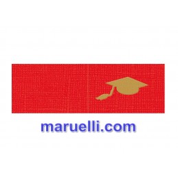 Biglietti.45x25 Laurea...