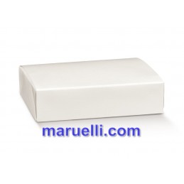 Boite 200x160x50 Fibra Bian...
