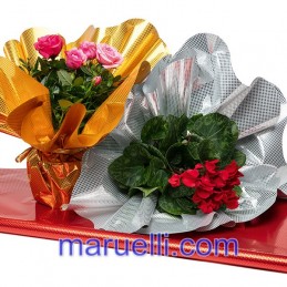 Sottovasi Arg.f/p 2l...