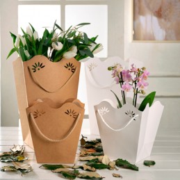 Shopperpot Daisy Cta...