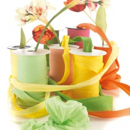 Nastri Decor Hd F/p.2l...