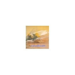 Fogli Pla Cmp. Neutri 25my...