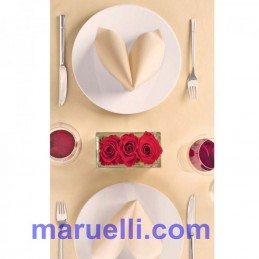 Tovaglie Carta a secco...
