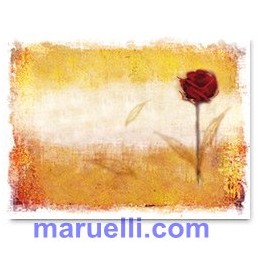 Tovagliette 35x50 100pz...