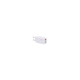 ALIMENTATORE USB-C da CASA...