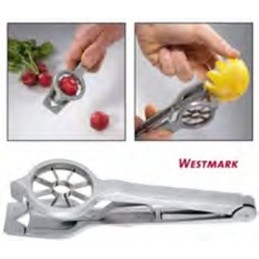 Tagliaravanelli Spicchi...