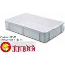 Cont.gigant Transport...