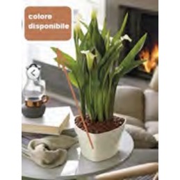 Vaso Euro Mitu Triangolare