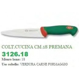 Colt.cucina Sanelli 18...
