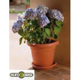 Vaso Euro Krea 45 - S-vaso...