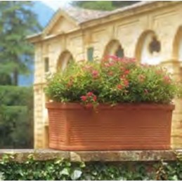 Cassetta Coccio 100x46h42...