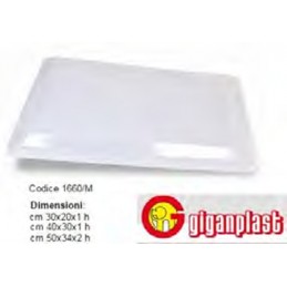 Cont.stef Gig 40x30...