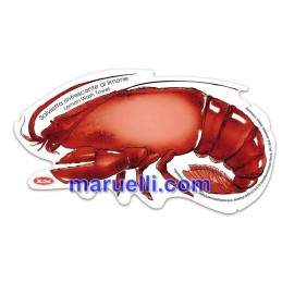 Salvietta Umidificata Bio -...